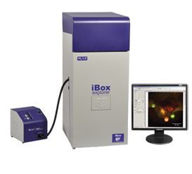 iBox Explorer 活体小动物荧光显微成像系统UVP凝胶成像分析系统