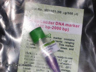 AXYGEN M-DNA100bp Ladder DNA marker 